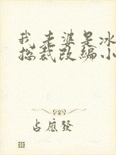 我老婆是冰山女总裁改编小说