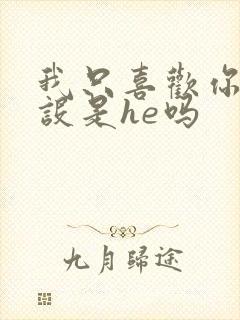 我只喜欢你的人设是he吗