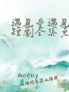 遇见爱遇见幸福短剧全集免费看