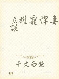 《权宠悍妻》小说