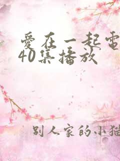 爱在一起电视剧40集播放