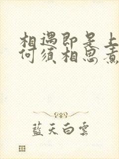 相遇即是上上签何须相思煮余年