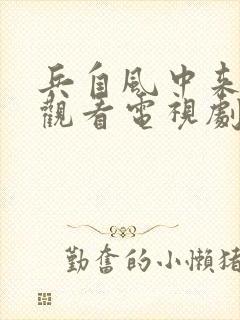 兵自风中来在线观看电视剧