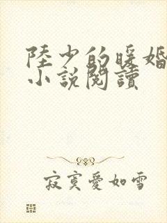 陆少的暖婚新妻小说阅读