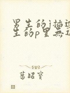 男生的j插进女生的p里无遮挡