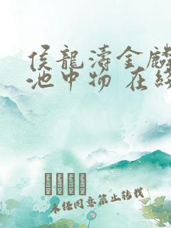 侯龙涛金麟岂是池中物 在线阅读