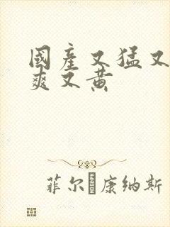 国产又猛又粗又爽又黄