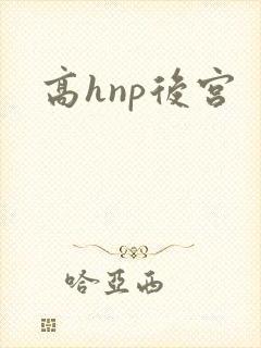 高hnp后宫