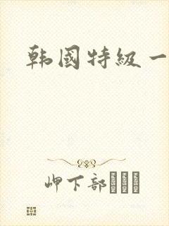 韩国特级一级片
