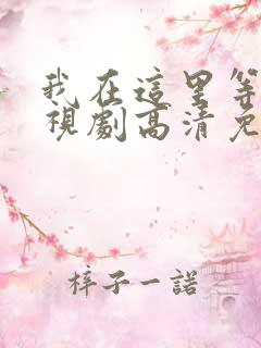 我在这里等你电视剧高清免费播放