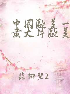 中国欧美一级特黄大片欧美少妇