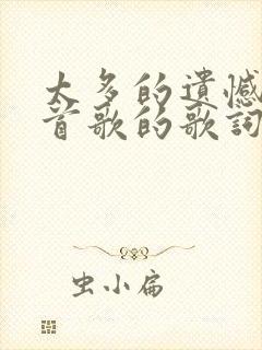 太多的遗憾是哪首歌的歌词