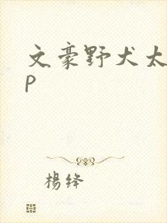 文豪野犬太中cp