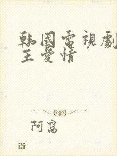 韩国电视剧双男主爱情