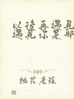 以后再遇见你再遇见你是哪首歌里面的歌词