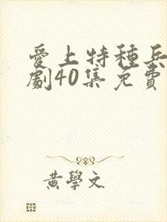 爱上特种兵电视剧40集免费观看全集