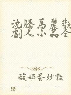 沈腾马丽欢乐喜剧人小品全集