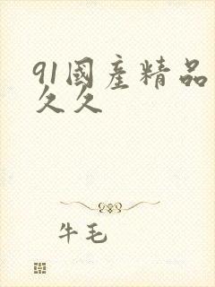 91国产精品久久久