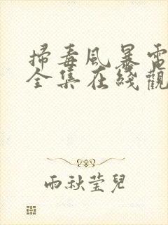 扫毒风暴电视剧全集在线观看高清