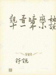 观看暗恋她的第十一年小说