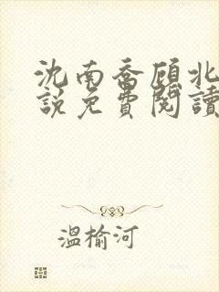 沈南乔顾北辰小说免费阅读