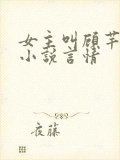 女主叫顾芊芊的小说言情