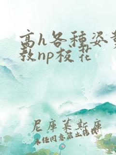 高h各种姿势调教np校花