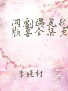 网剧遇见我的小欢喜全集免费观看