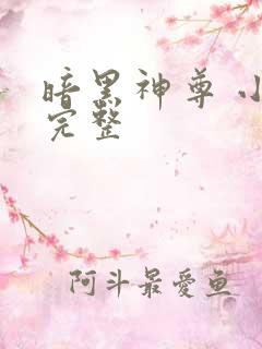 暗黑神尊 小说完整