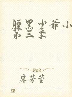 腹黑少爷小甜妻第三季