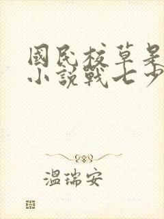 国民校草是女生小说战七少