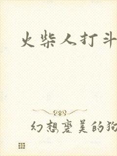 火柴人打斗动画