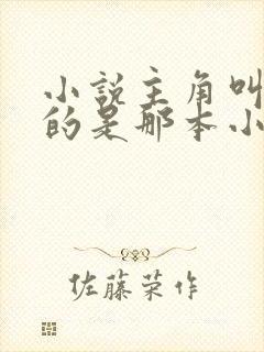 小说主角叫陈凡的是那本小说