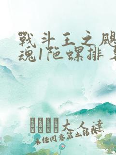 战斗王之飓风战魂1陀螺排名