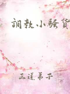 调教小骚货文