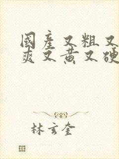 国产又粗又猛又爽又黄又硬视频