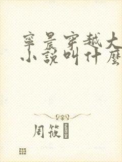 宁晨穿越大玄的小说叫什么名字