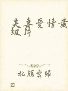 夫妻爱情黄色一级片