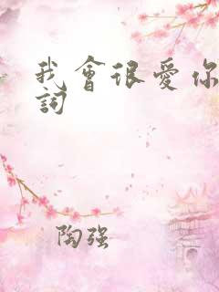 我会很爱你 歌词