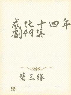 成化十四年电视剧49集
