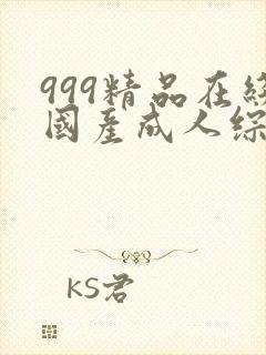 999精品在线国产成人综合久久