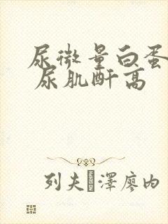 尿微量白蛋白高 尿肌酐高