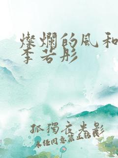 灿烂的风和海 李若彤
