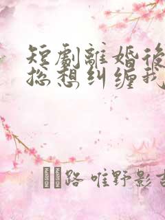 短剧离婚后前夫总想纠缠我