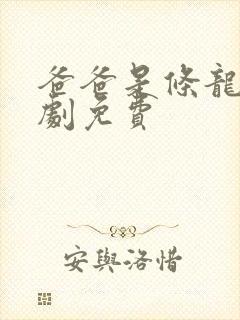 爸爸是条龙电视剧免费