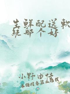 生鲜配送软件系统哪个好