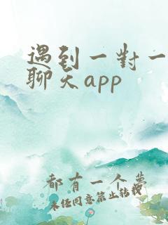 遇到一对一视频聊天app