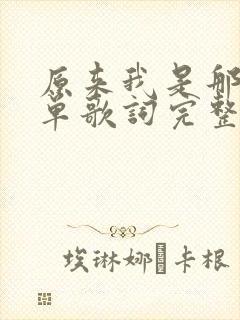 原来我是那么孤单歌词完整版