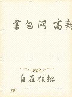 书包网 高辣文