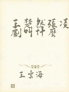 王楚然张凌赫新剧叫什么